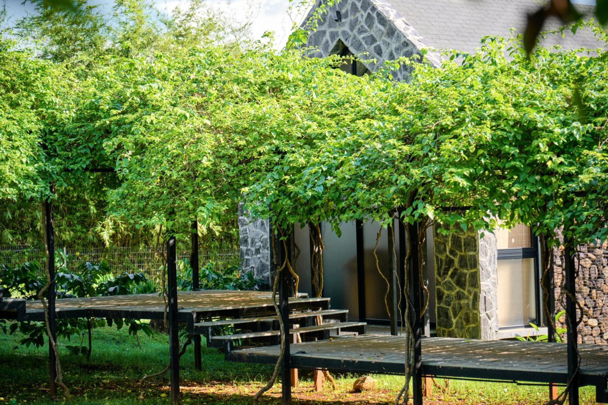 The Coffee City - Healing & Retreats Buon Ma Thuot Exterior photo
