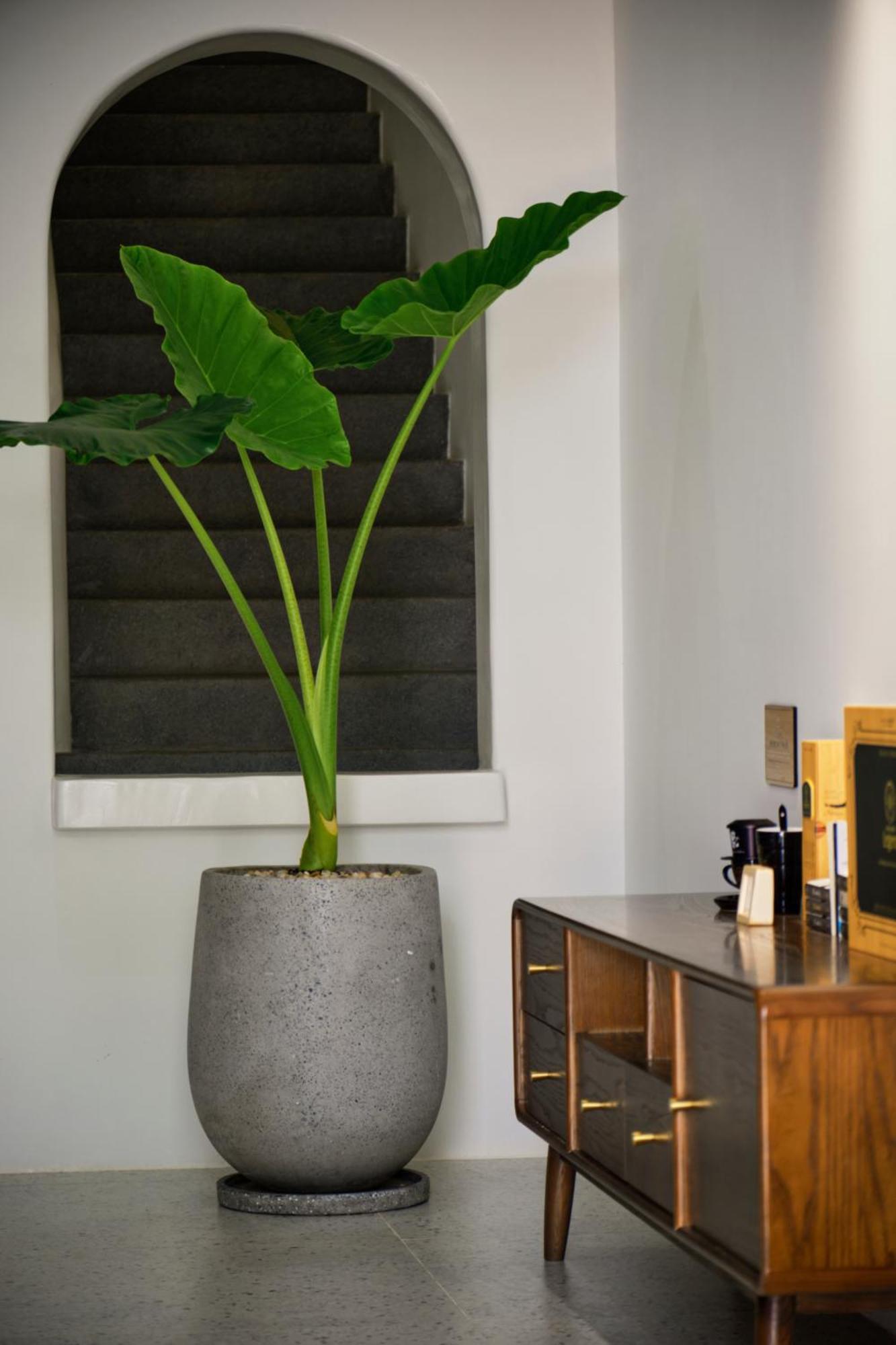 The Coffee City - Healing & Retreats Buon Ma Thuot Exterior photo